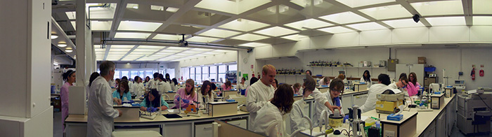 lab photo